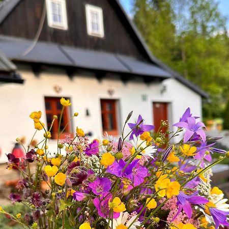 Rozpravkovy Domcek Zvoncek Villa Donovaly Eksteriør bilde