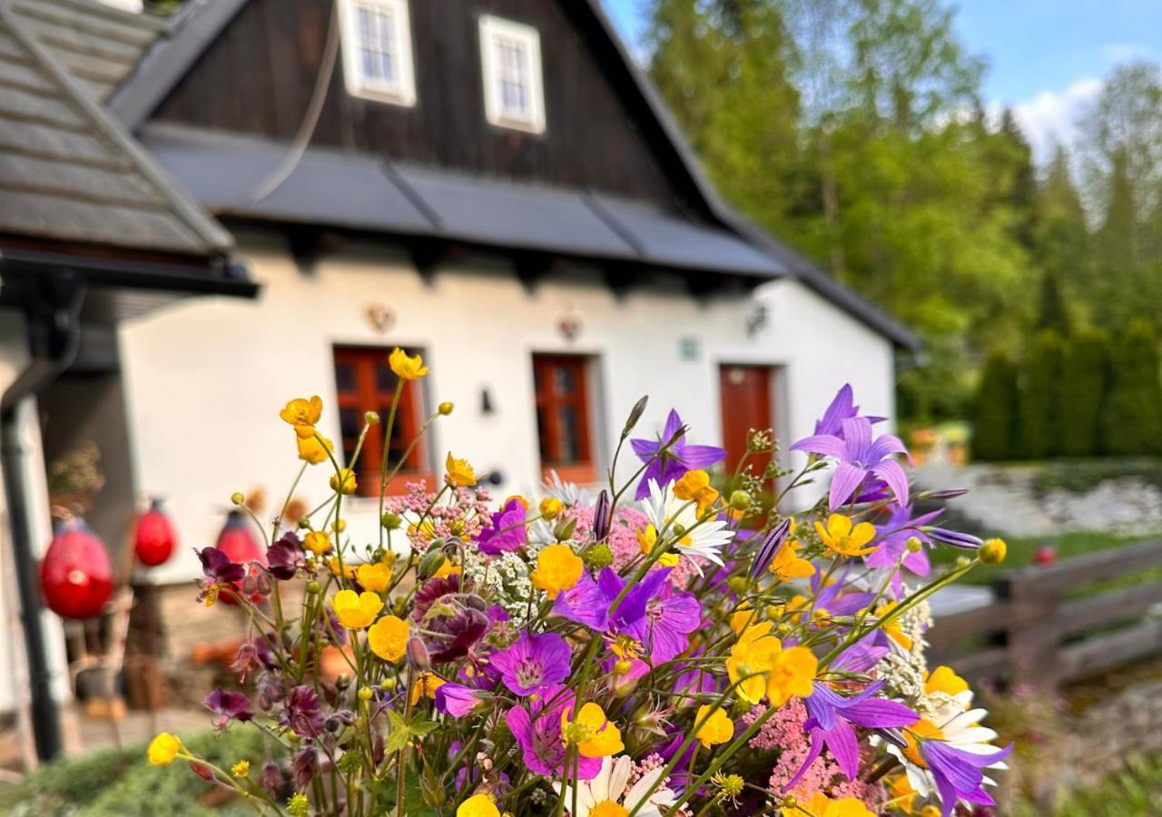 Rozpravkovy Domcek Zvoncek Villa Donovaly Eksteriør bilde